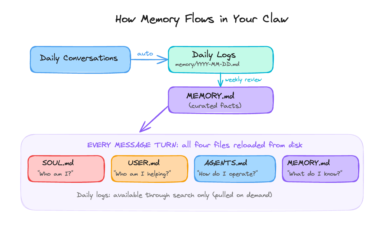 How memory flows through your Claw