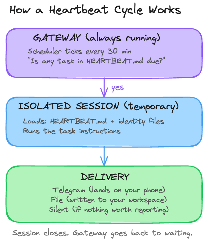 How a heartbeat cycle works